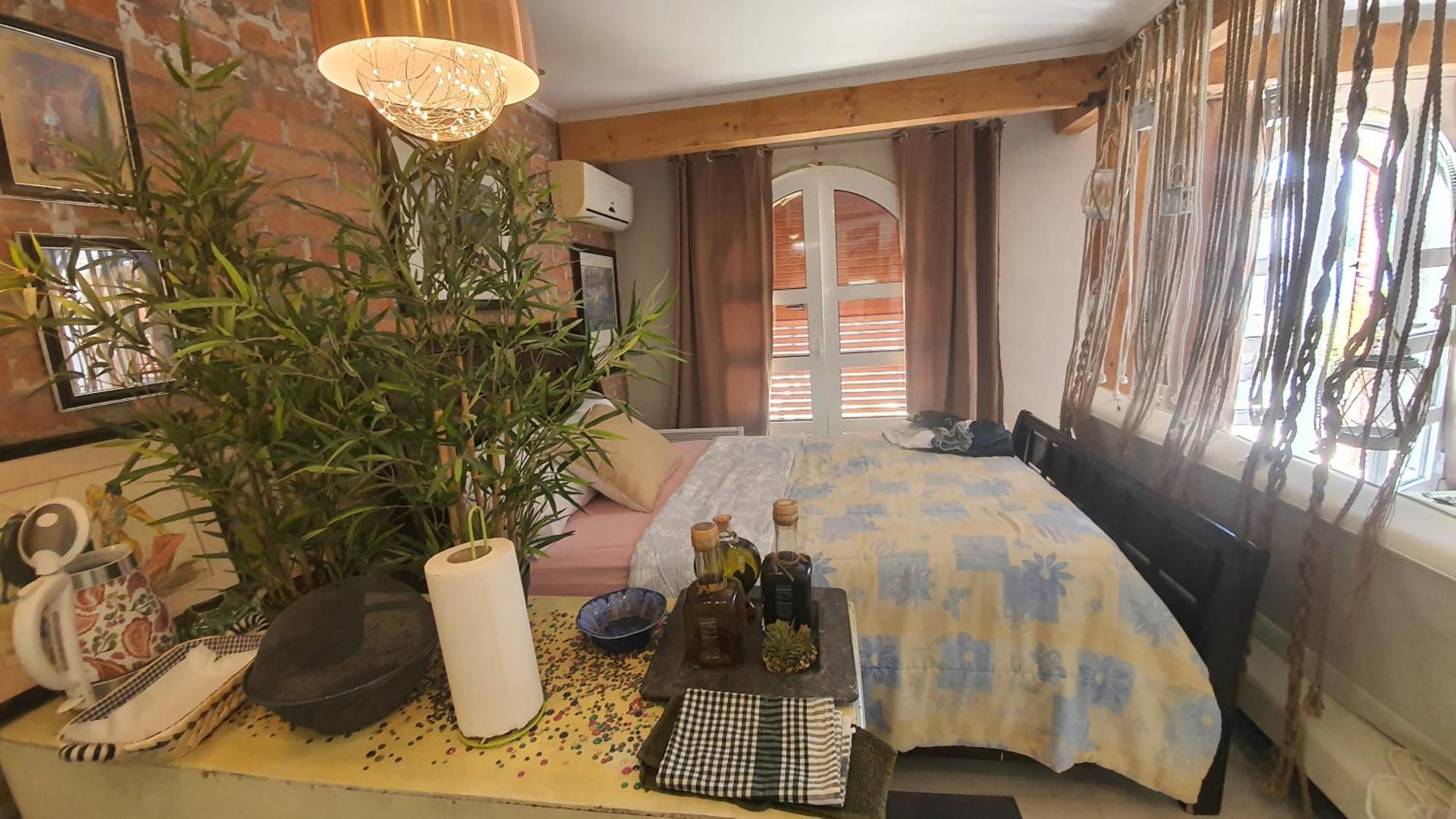 Apartment Casa Topic 布拉采 客房 照片